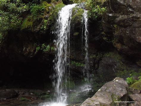 The Many Waterfalls of Great Smoky Mountains National Park