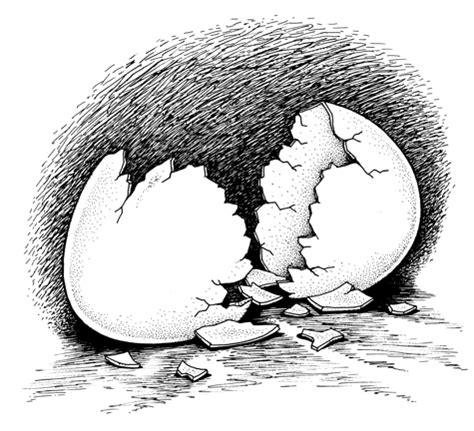 Broken egg drawing, pen and ink illustration of a broken egg shell ...