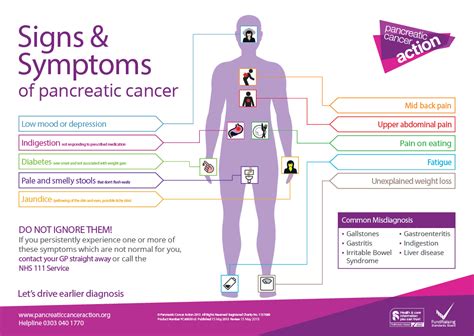 Pancreatic Cancer Symptoms - Signs & Symptoms of Pancreatic Cancer