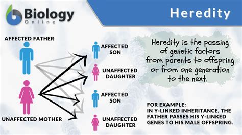 Genetics Examples