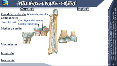 Articulaciones del miembro superior - SOCIEM UNA - YouTube