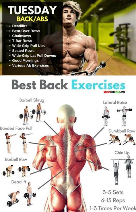 34+ Best back exercises home | dailyabsworkouttips