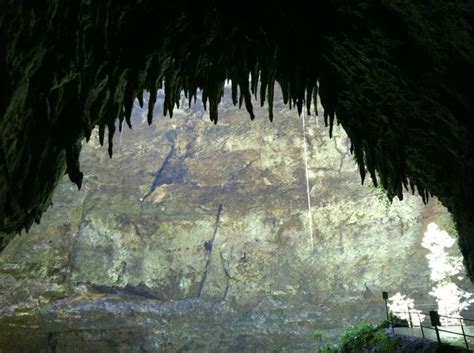 Parque Nacional de las Cavernas del Rio Camuy - All You Need to Know ...