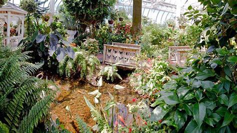 Key West Butterfly And Nature Conservatory - Travel & Recreation - Key ...