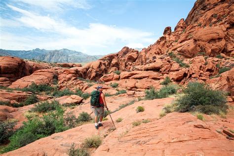 Red Rock Canyon Hiking Tour: Triphobo