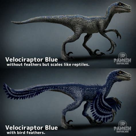 Velociraptor blue. Not feather and have feather