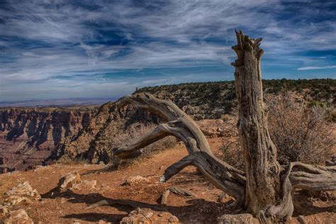 "Desert View Watchtower" Images – Browse 784 Stock Photos, Vectors, and ...