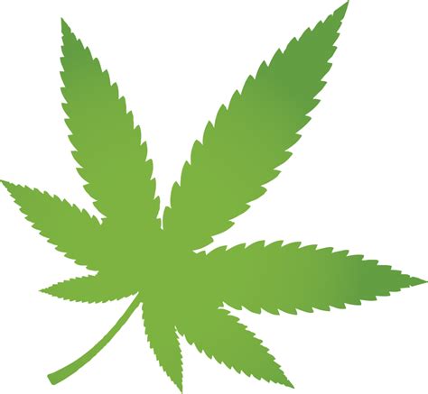 Cannabis leaf PNG Clipart With Transparent Background for decoration of ...