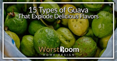 15 Types of Guava That Explode Delicious Flavors - Worst Room