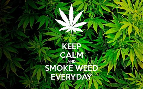 Weed 1080P, 2K, 4K, 5K HD wallpapers free download | Wallpaper Flare