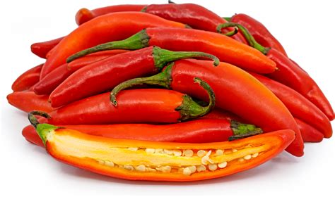 Red Serrano Chile Peppers Information, Recipes and Facts