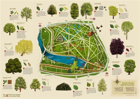 Tree map, Hyde park, Illustrated map