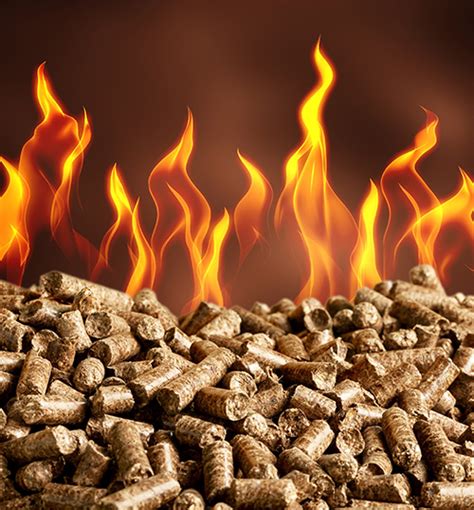 Wood Fuel Pellets – Product Categories - Grilling/Fuel – American Wood ...