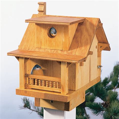 Build a Backyard Birdhouse (DIY) | Family Handyman