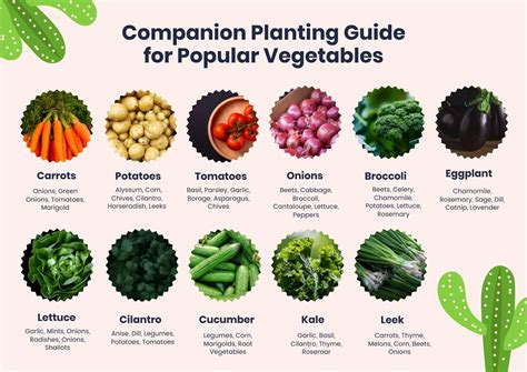 Printable Companion Planting Chart For Vegetables And Herbs - Free ...