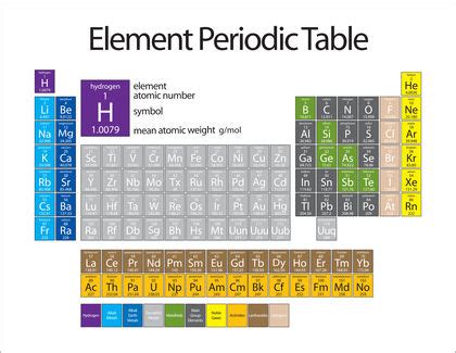 Halogens - humans, body, used, water, process, Earth, life, plants