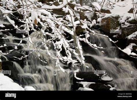 Virginia Water Park Virginia Water Surrey England UK Stock Photo - Alamy