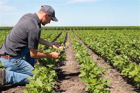 5 questions farmers should ask their agronomists this season | AGDAILY