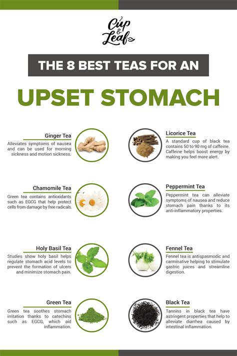 The 8 Best Teas for an Upset Stomach | Stomach remedies, Upset stomach ...