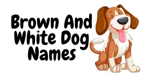 470+ Brown And White Dog Names Cool Unique & Creative