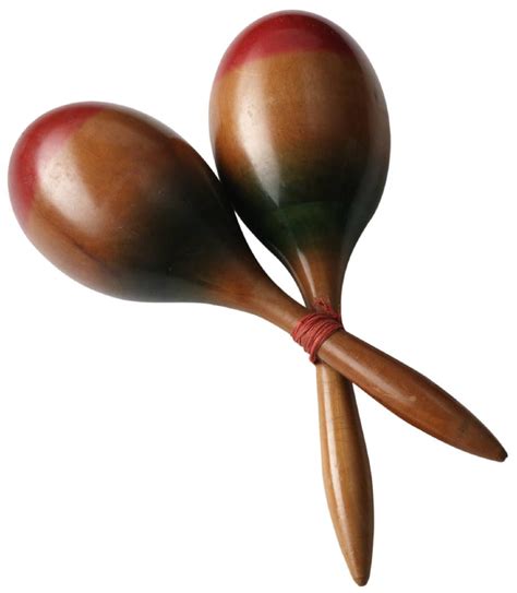 #learnpiano Maracas | Music Instruments used in Salsa Music | Pinterest ...