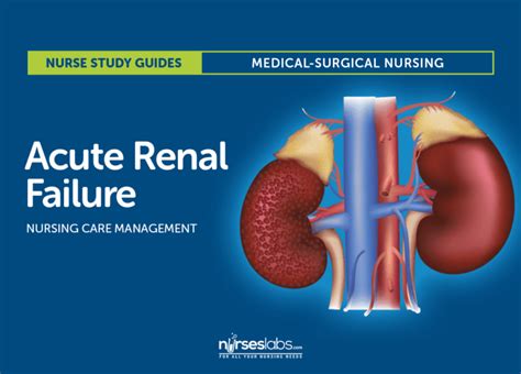 Acute Renal Failure Nursing Care and Management: Study Guide