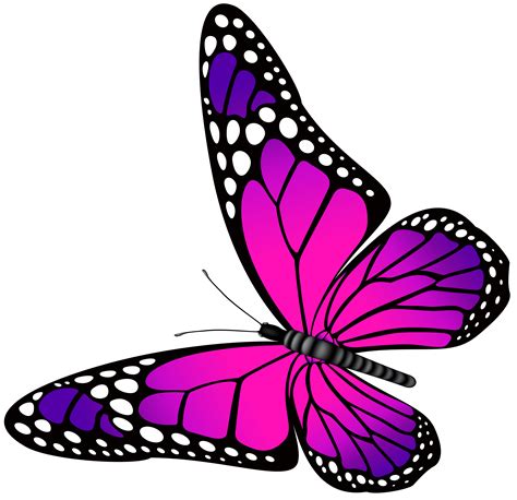 Butterfly Clip Art | Free Download Clip Art | Free Clip Art | on ...