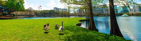 Pet-Friendly Hotels in Orlando - Places to Stay for Travelers with Pets