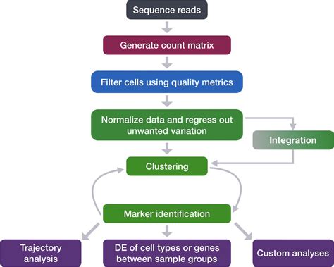 Single-cell RNA-seq: Clustering Analysis | Introduction to single-cell ...