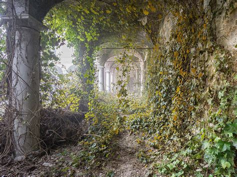 Flipboard: Abandoned buildings seen reclaimed by nature after humans ...