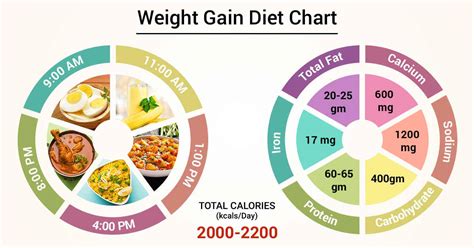 Diet Chart For Weight Gain For Female In 1 Month - Diet Poin