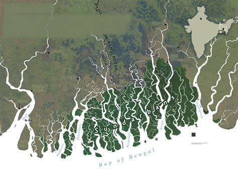 As climate change shrinks the Sundarbans, lives are washed away