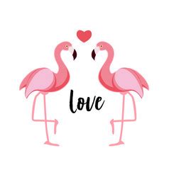 Cute pink flamingo in love background Royalty Free Vector