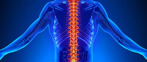 Thoracic Spine Fractures - Causes, Symptoms & Treatment