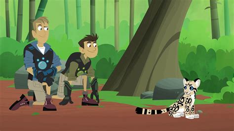 Cats and dogs go wild in new 'Wild Kratts' special: Q&A with the Kratt ...