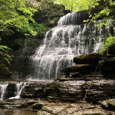 THE 15 BEST Things to Do in Tullahoma - 2021 (with Photos) - Tripadvisor