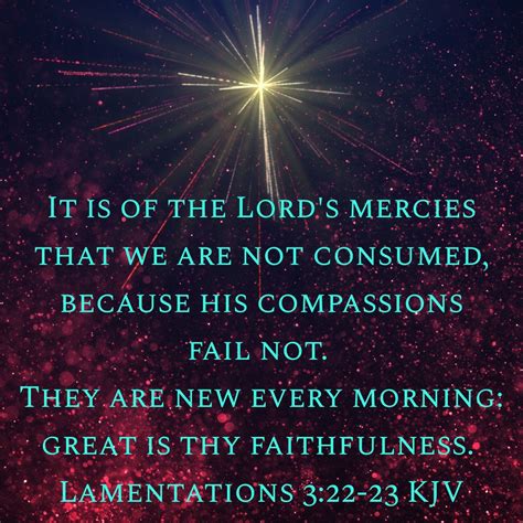 Lamentations 3:22-23 KJV | Faith verses, Lamentations, Kjv