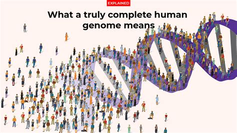 Covid 19 genome sequence analysis - neattews