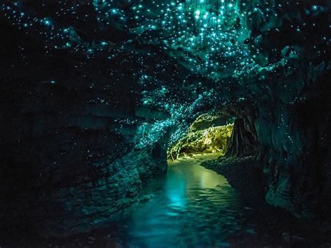 Glowworm Caves: Waitomo, New Zealand : r/newzealand