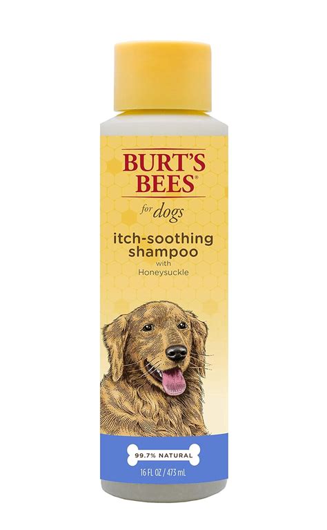 Best Dog Shampoo for Itchy Skin: The Ultimate Guide