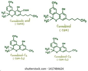 Structure Cannabinol Cbn Cannabinolc1 Cannabinolc2 Cannabinoids Stock ...