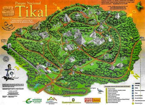 Map & How To Visit Tikal National Park | Traffic Torch