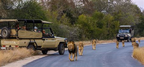 Kruger National Park - Sabi Sands Lodges Reservations