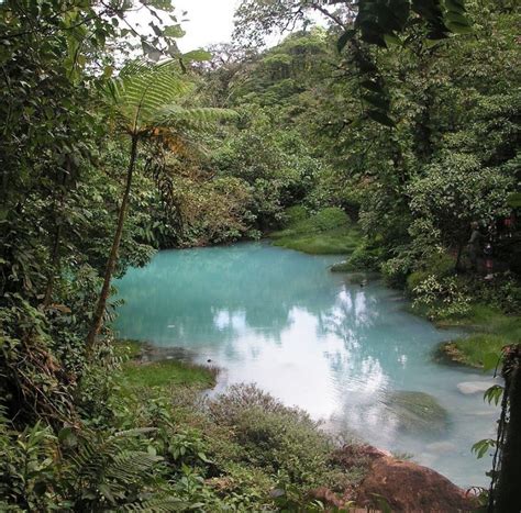 Tenorio Volcano National Park | Sights & Attractions - Project Expedition