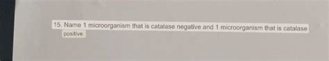 Solved 15. Name 1 microorganism that is catalase negative | Chegg.com