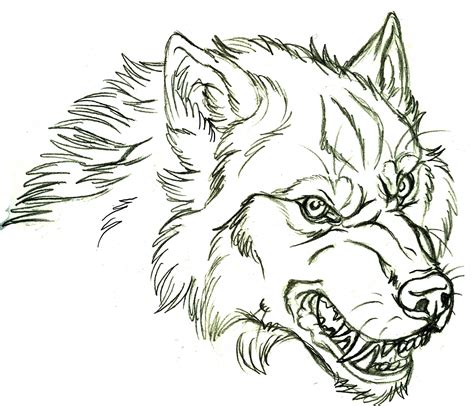 Wolf face drawing, Wolf sketch, Wolf drawing