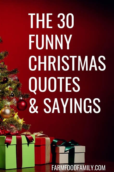 30+ Funny Christmas Quotes & Sayings That Make You Laugh | Christmas ...