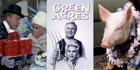 The 10 Best Episodes Of Green Acres, Ranked According To IMDb