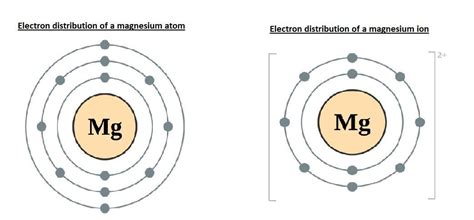 show the electron distribution of a magnesium atom and a magnesium ion ...