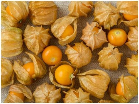 4 Health benefits of cape gooseberries - Times of India